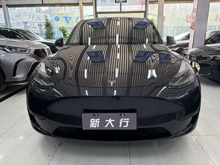 Tesla Model Y 2024 2024款 后轮驱动版