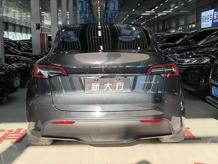 Tesla Model Y 2024 2024款 后轮驱动版