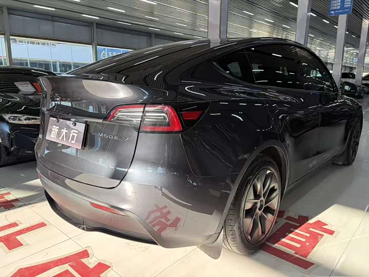 Tesla Model Y 2024 2024款 后轮驱动版