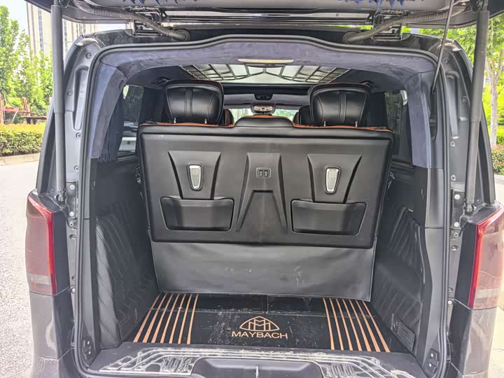 Mercedes-Benz V-Class 2021 2021款 V 260 领航版