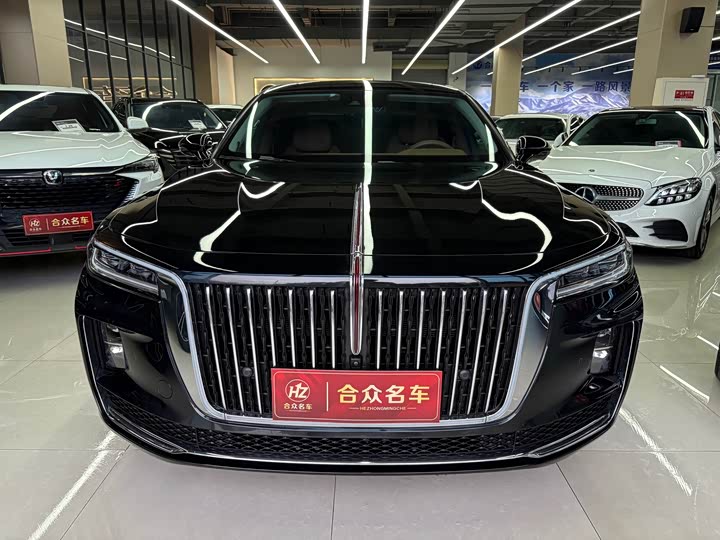 Фото 2 - Hongqi H9