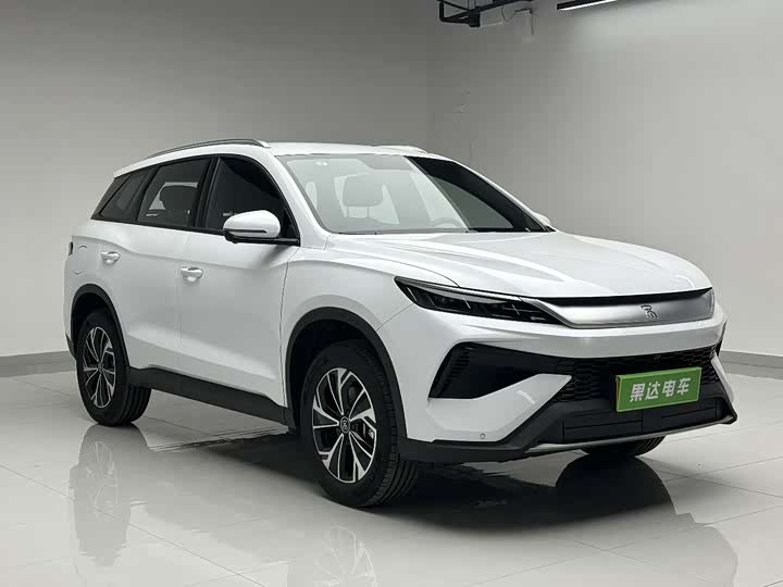 BYD Song Pro Hybrid 2026 2026款 DM-i 133KM进取型