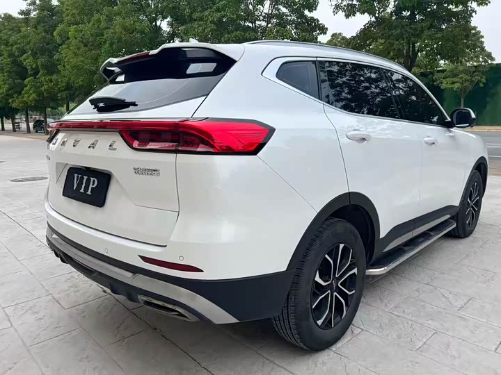 Haval H6 2025 2025款 1.5T 国潮都市版
