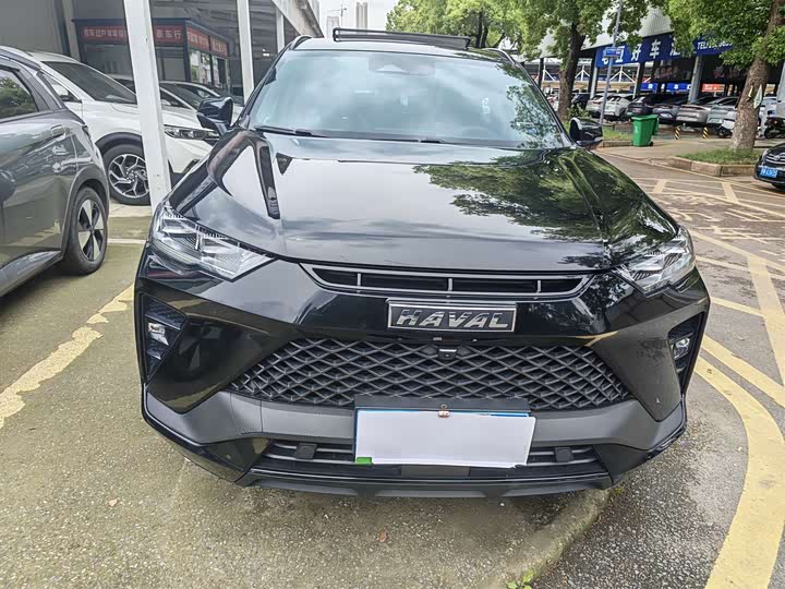 Haval H6S 2022 2022款 2.0T 两驱智跑版