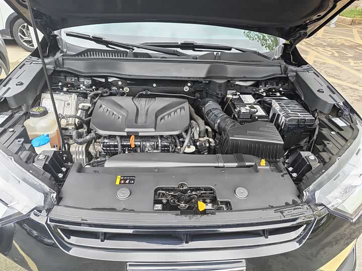 Haval H6S 2022 2022款 2.0T 两驱智跑版