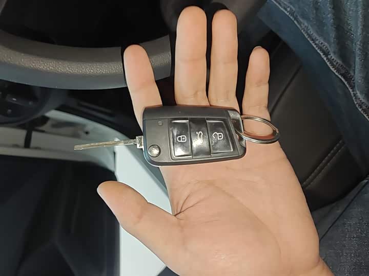 Volkswagen Polo 2023 2023款 改款 Plus 1.5L 自动纵情乐活版