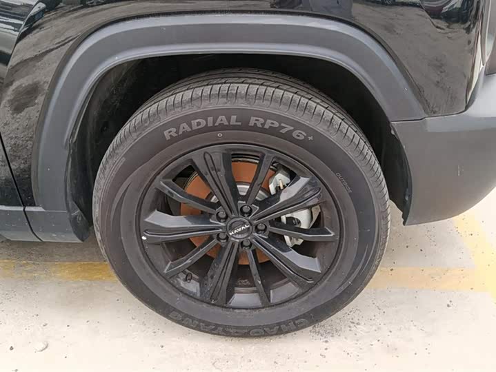 Haval Raptor Hybrid 2024 2024款 Hi4 102 Pro