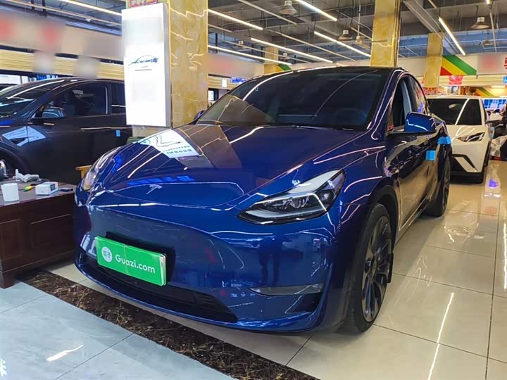 Tesla Model Y 2022 2022款 Performance高性能全轮驱动版