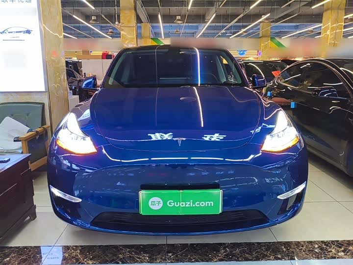 Tesla Model Y 2022 2022款 Performance高性能全轮驱动版
