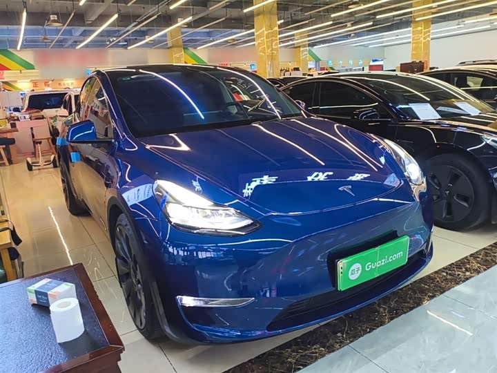 Tesla Model Y 2022 2022款 Performance高性能全轮驱动版