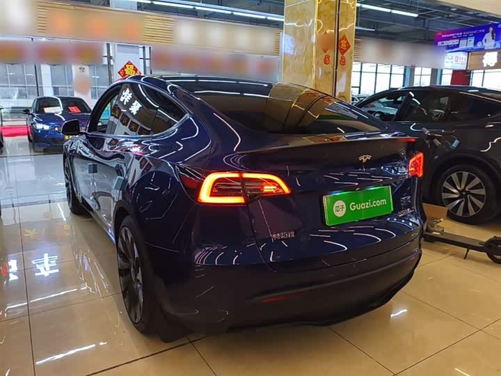 Tesla Model Y 2022 2022款 Performance高性能全轮驱动版