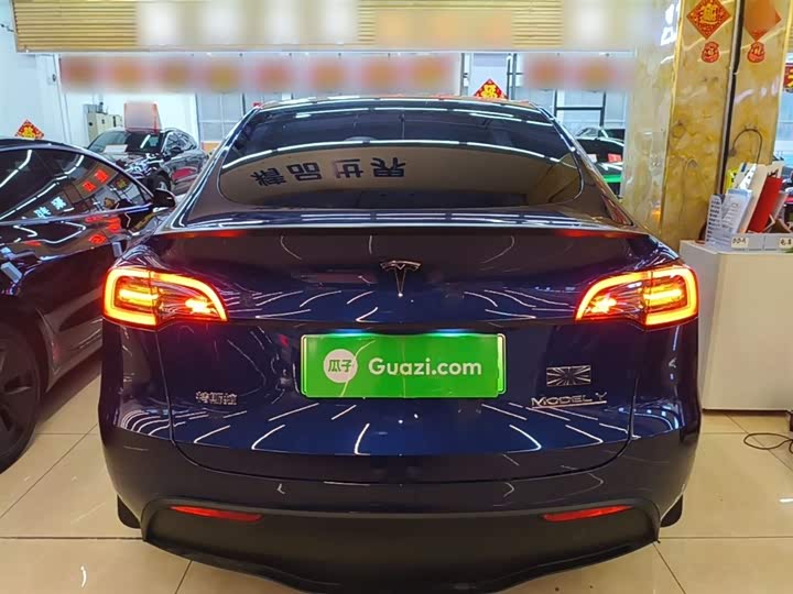 Tesla Model Y 2022 2022款 Performance高性能全轮驱动版