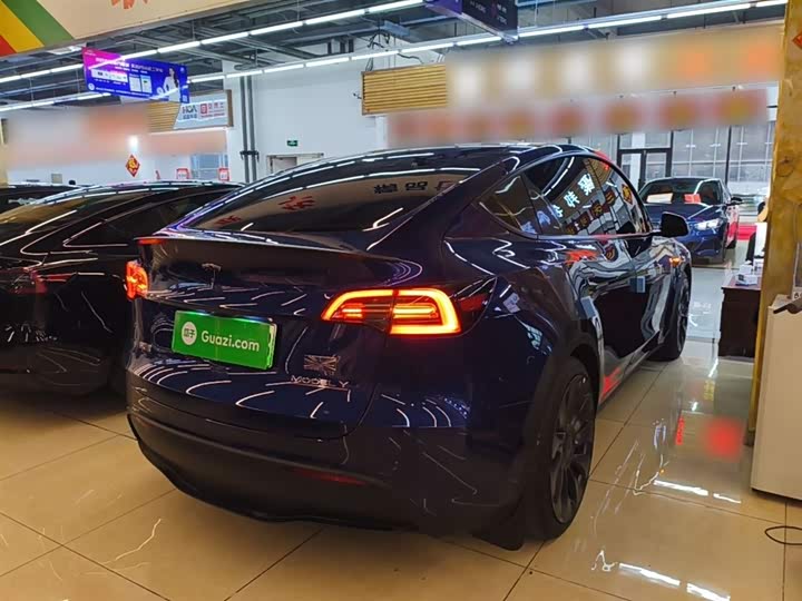 Tesla Model Y 2022 2022款 Performance高性能全轮驱动版