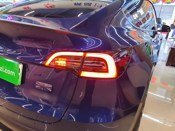 Tesla Model Y 2022 2022款 Performance高性能全轮驱动版