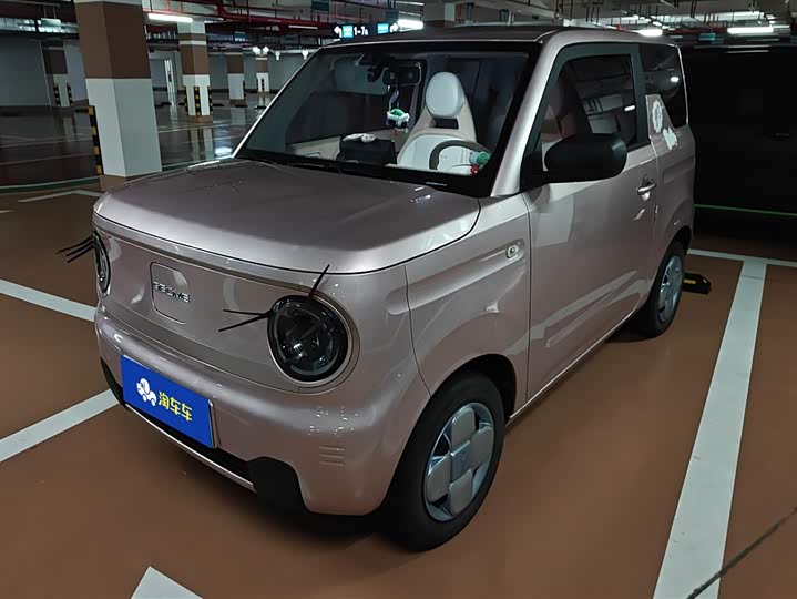 Geely Galaxy Panda Mini 2023 2023款 熊猫mini 200km 耐力熊