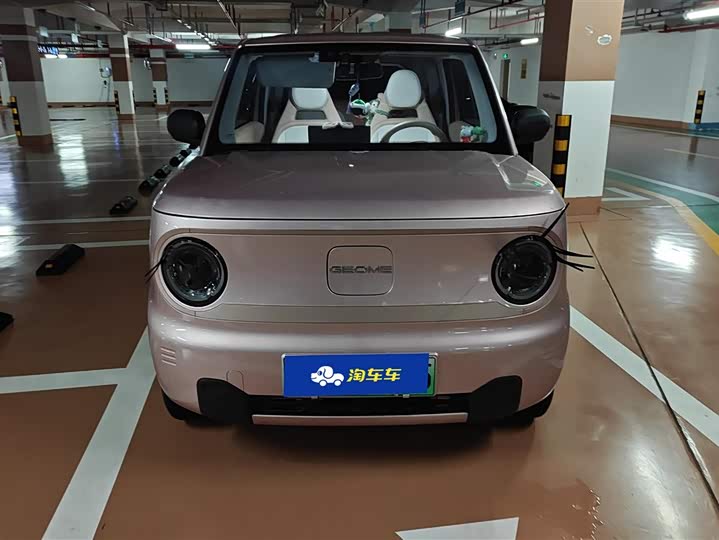 Geely Galaxy Panda Mini 2023 2023款 熊猫mini 200km 耐力熊