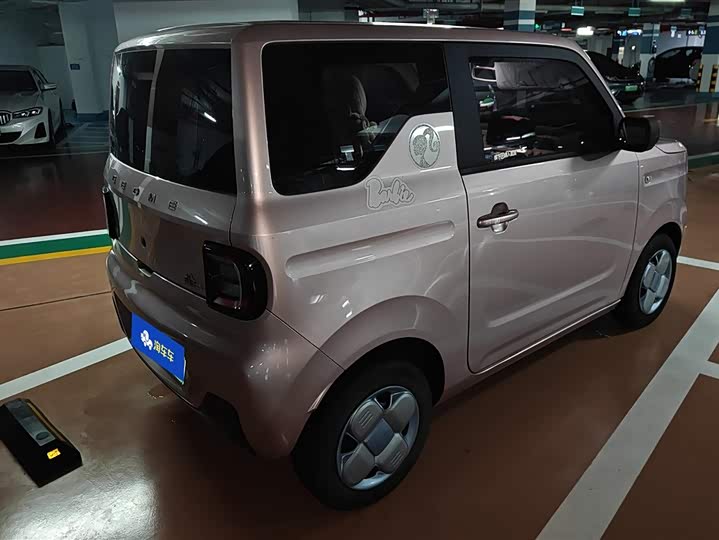 Geely Galaxy Panda Mini 2023 2023款 熊猫mini 200km 耐力熊