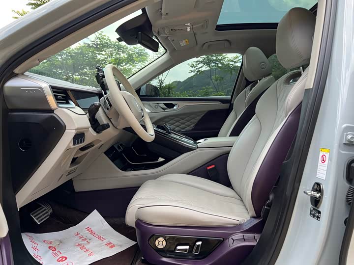 2021 Wey Mocha
