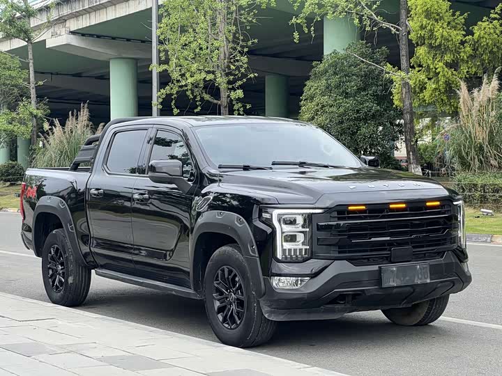 2025 Foton Mars