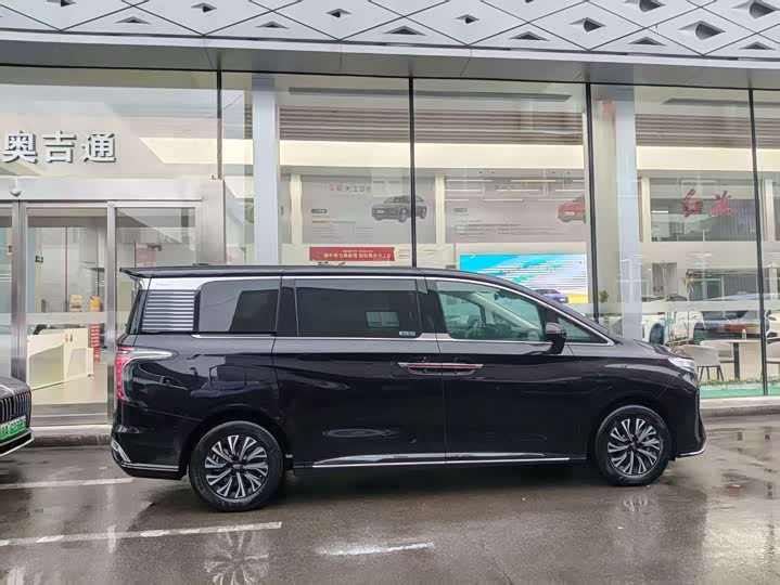 Hongqi HQ9 Hybrid 2024 2024款 2.0T 四驱豪华版