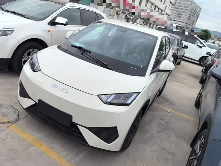 Фото 2 - BYD Seagull