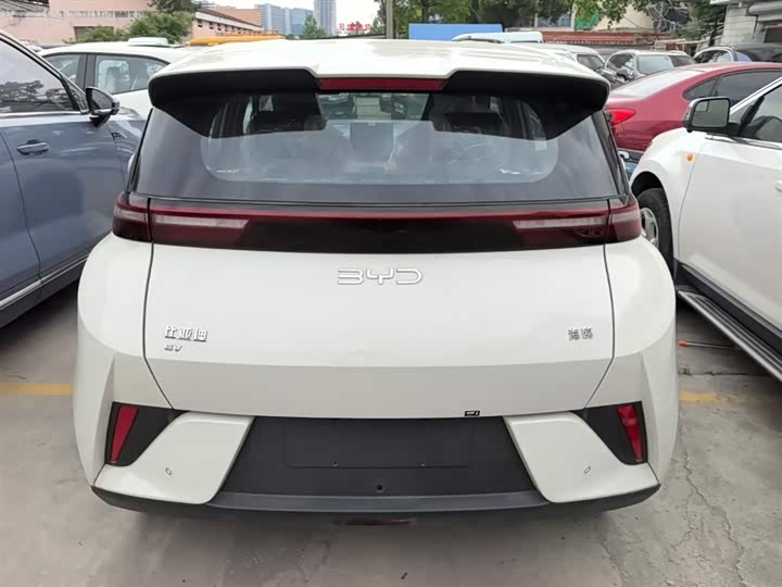 Фото 6 - BYD Seagull