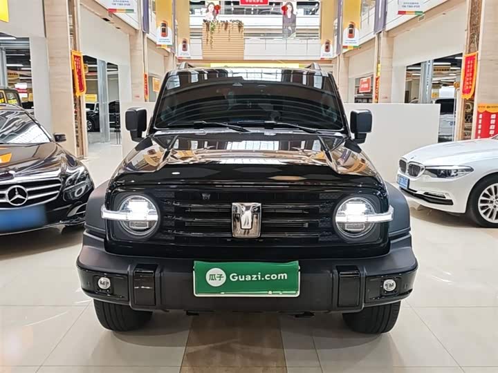 Фото 3 - Tank 300 Hybrid