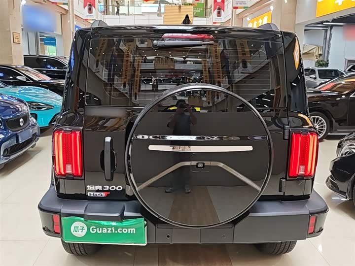 Фото 6 - Tank 300 Hybrid