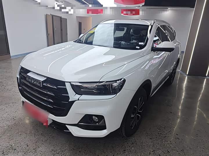Haval H6 2025 2025款 1.5T 国潮都市版