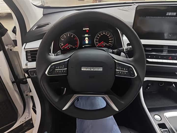 Haval H6 2025 2025款 1.5T 国潮都市版