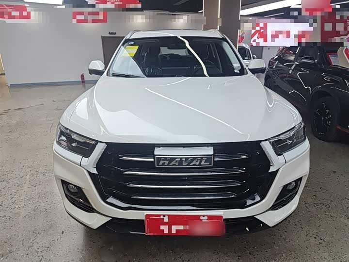 Haval H6 2025 2025款 1.5T 国潮都市版