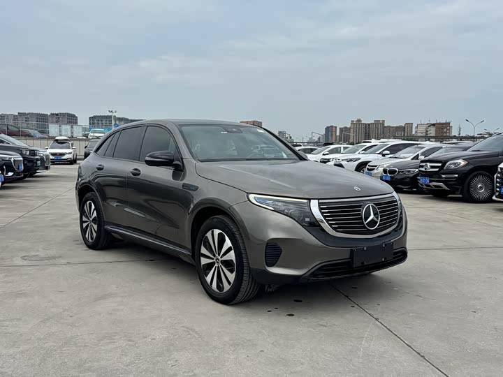 Mercedes-Benz EQC 2021 2021款 EQC 350 4MATIC