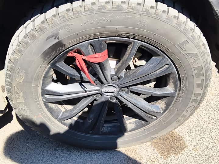 Haval Raptor Hybrid 2024 2024款 Hi4 145 Pro