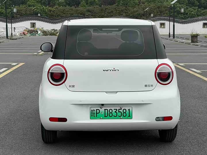 Zdjęcie 7 - Changan Qiyuan (Nevo) Lumin