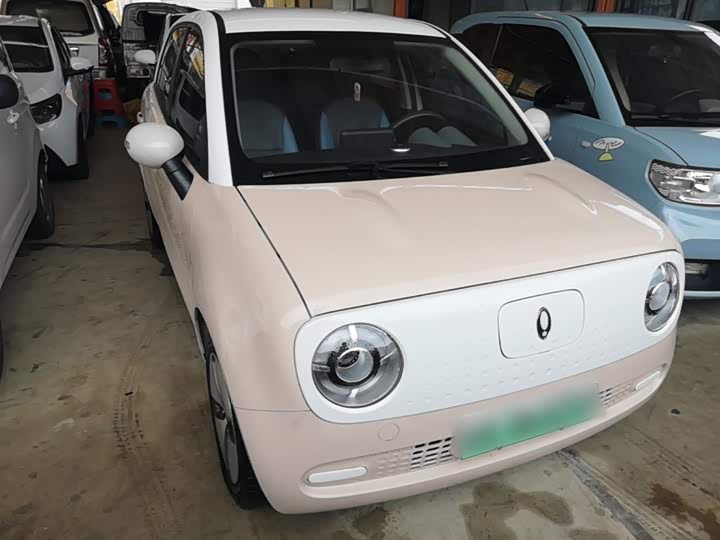 Ora Black Cat 2022 2022款 301km 萌宠版 磷酸铁锂