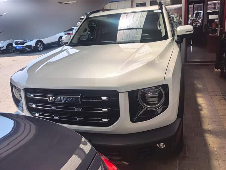 Фото 2 - Haval Dargo