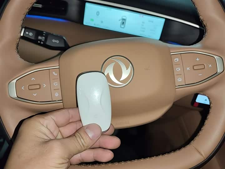 Dongfeng Aeolus L8 2025 2025款 185KM梦想版