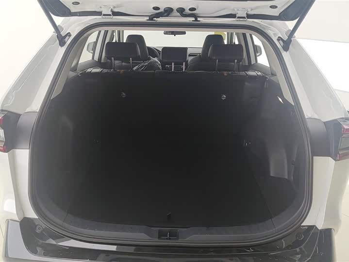 Toyota Wildlander 2024 2024款 双擎 2.5L E-CVT两驱豪华PLUS版