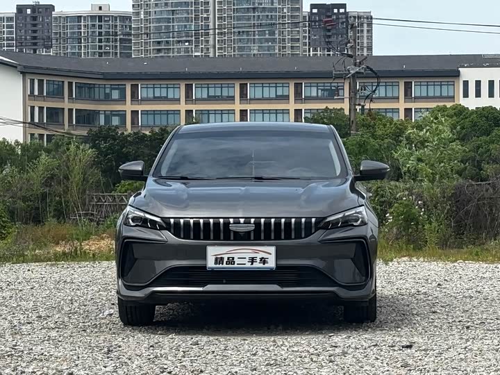 Фото 2 - Geely Binrui