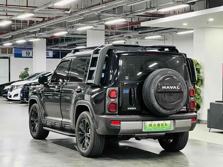Haval Raptor Hybrid 2024 2024款 Hi4 102 Pro