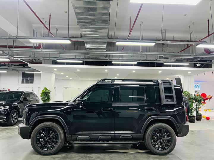 Haval Raptor Hybrid 2024 2024款 Hi4 102 Pro