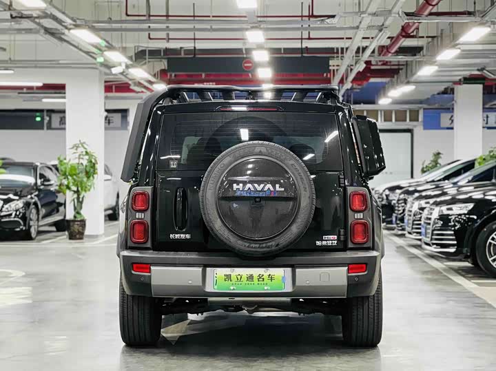 Haval Raptor Hybrid 2024 2024款 Hi4 102 Pro