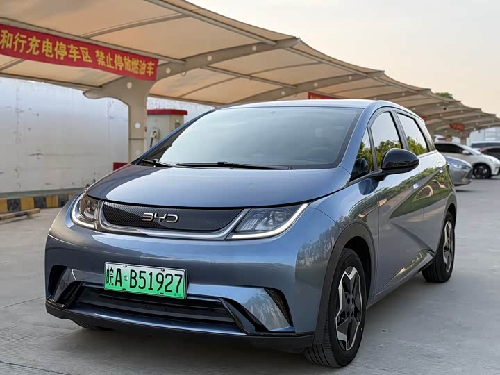 Фото 1 - BYD Dolphin