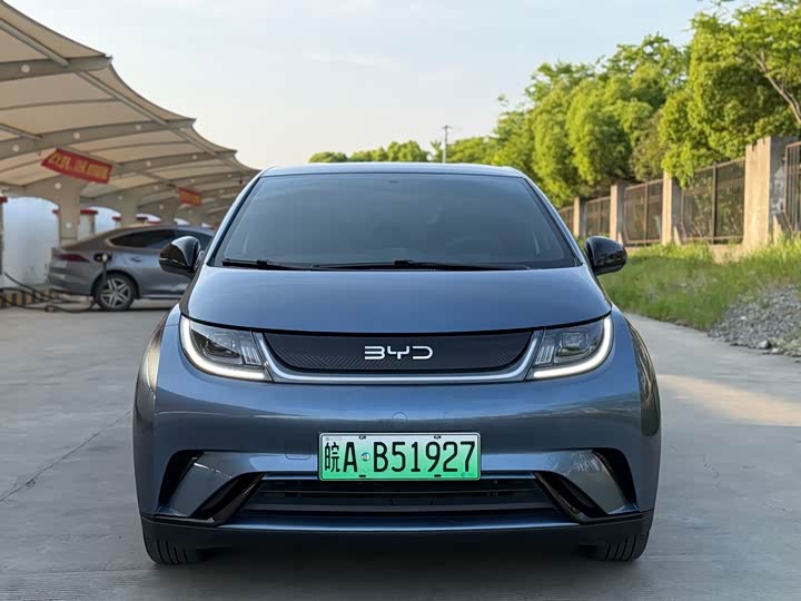 Фото 2 - BYD Dolphin