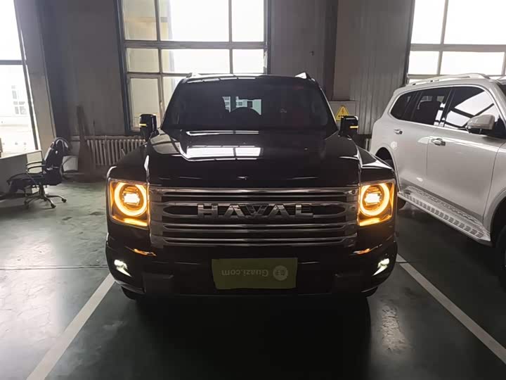 Haval H9 2024 2024款 2.0T 汽油四驱极境版