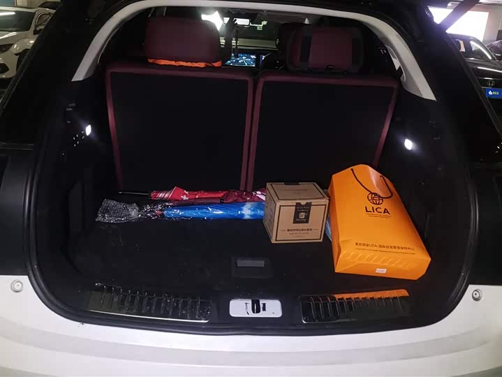 Hongqi E-HS9 2022 2022款 660km 旗畅版 六座