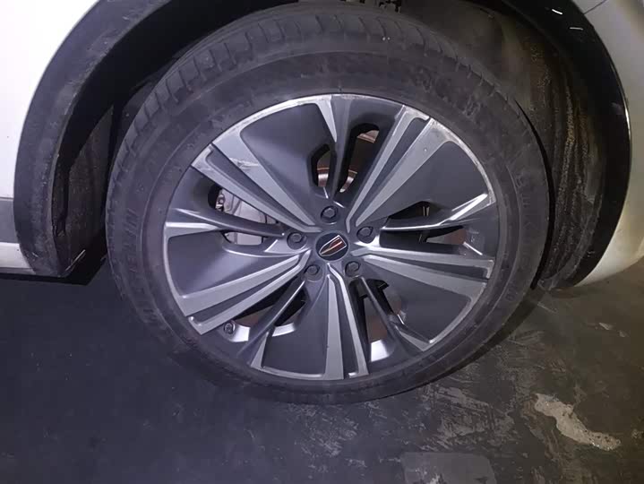 Hongqi E-HS9 2022 2022款 660km 旗畅版 六座