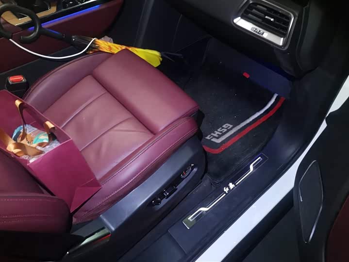 Hongqi E-HS9 2022 2022款 660km 旗畅版 六座