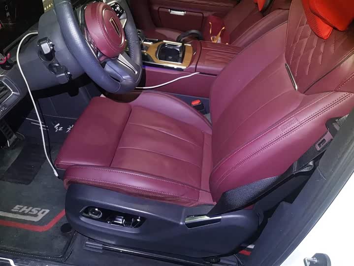 Hongqi E-HS9 2022 2022款 660km 旗畅版 六座