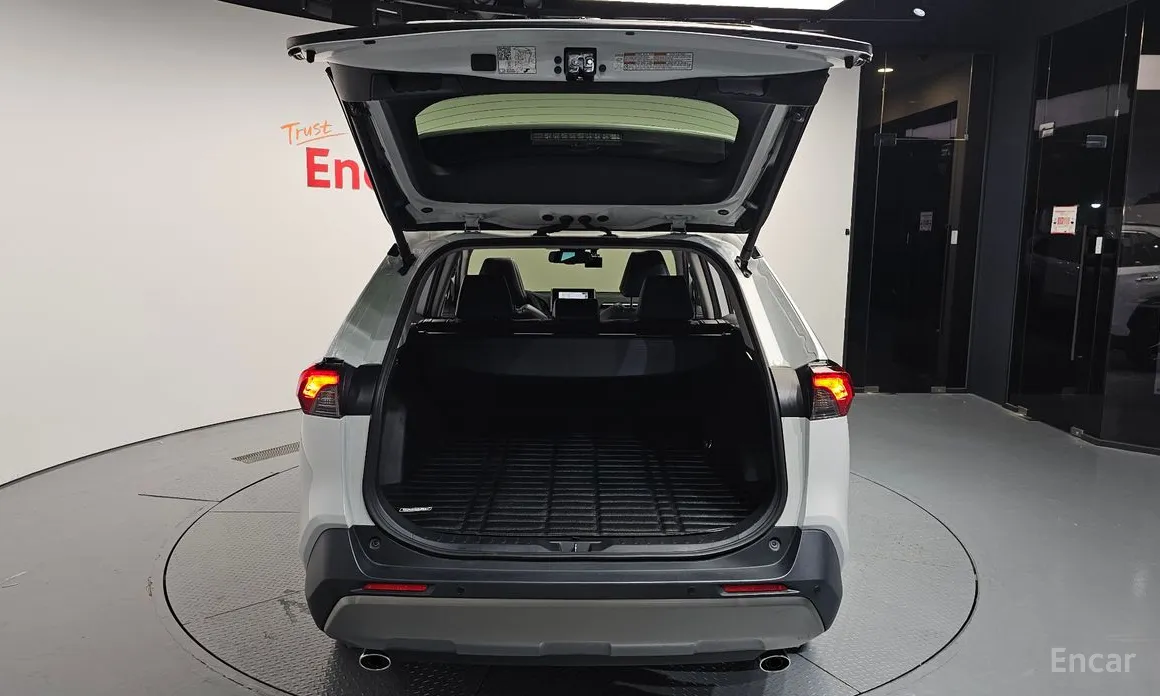 Toyota RAV4 2019 2,5 4WD Hybrid LTD